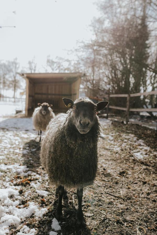 Our Farm Ferienwohnung Grasberg Extérieur photo